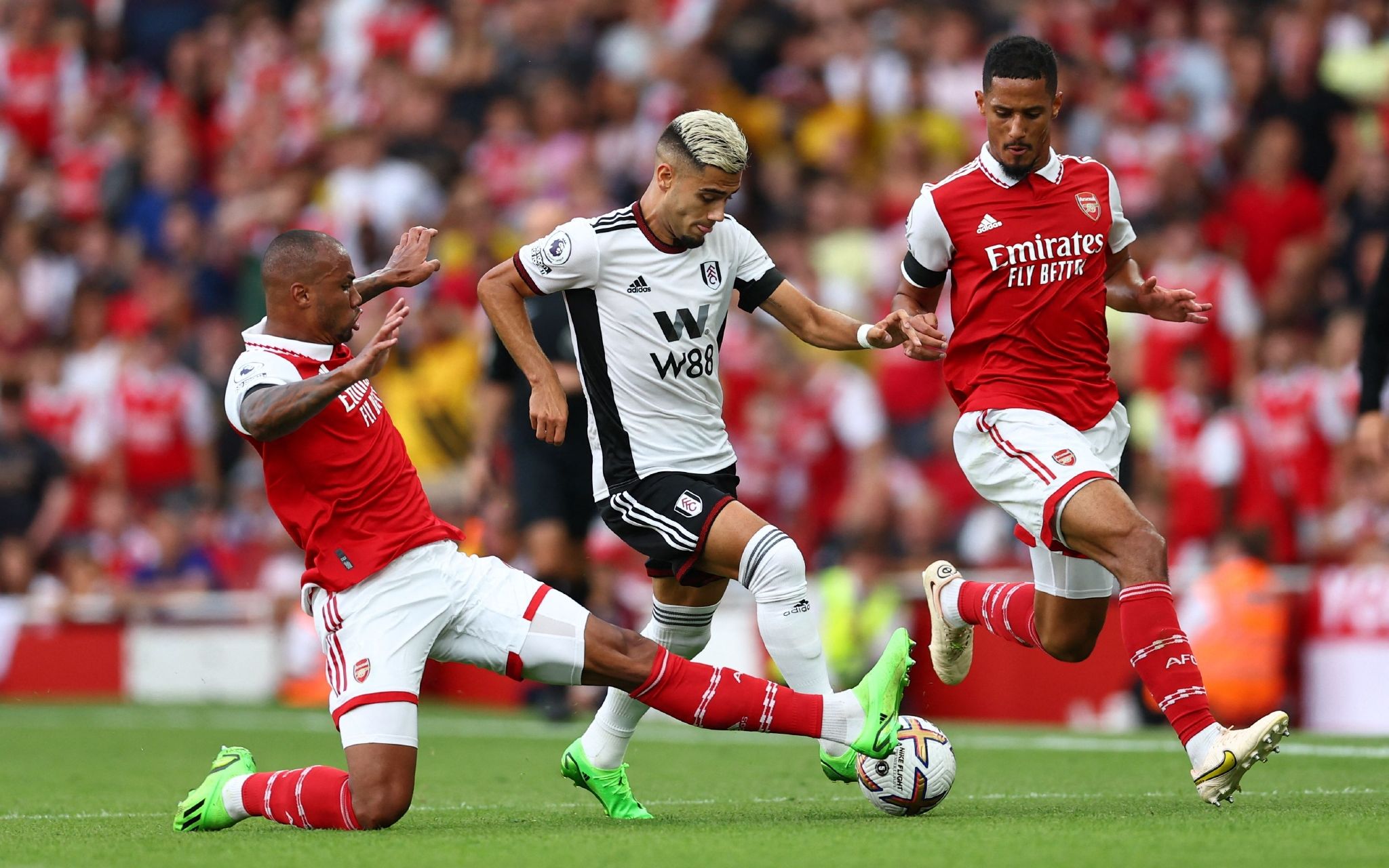 粉丝们翘首 粉丝们翘首